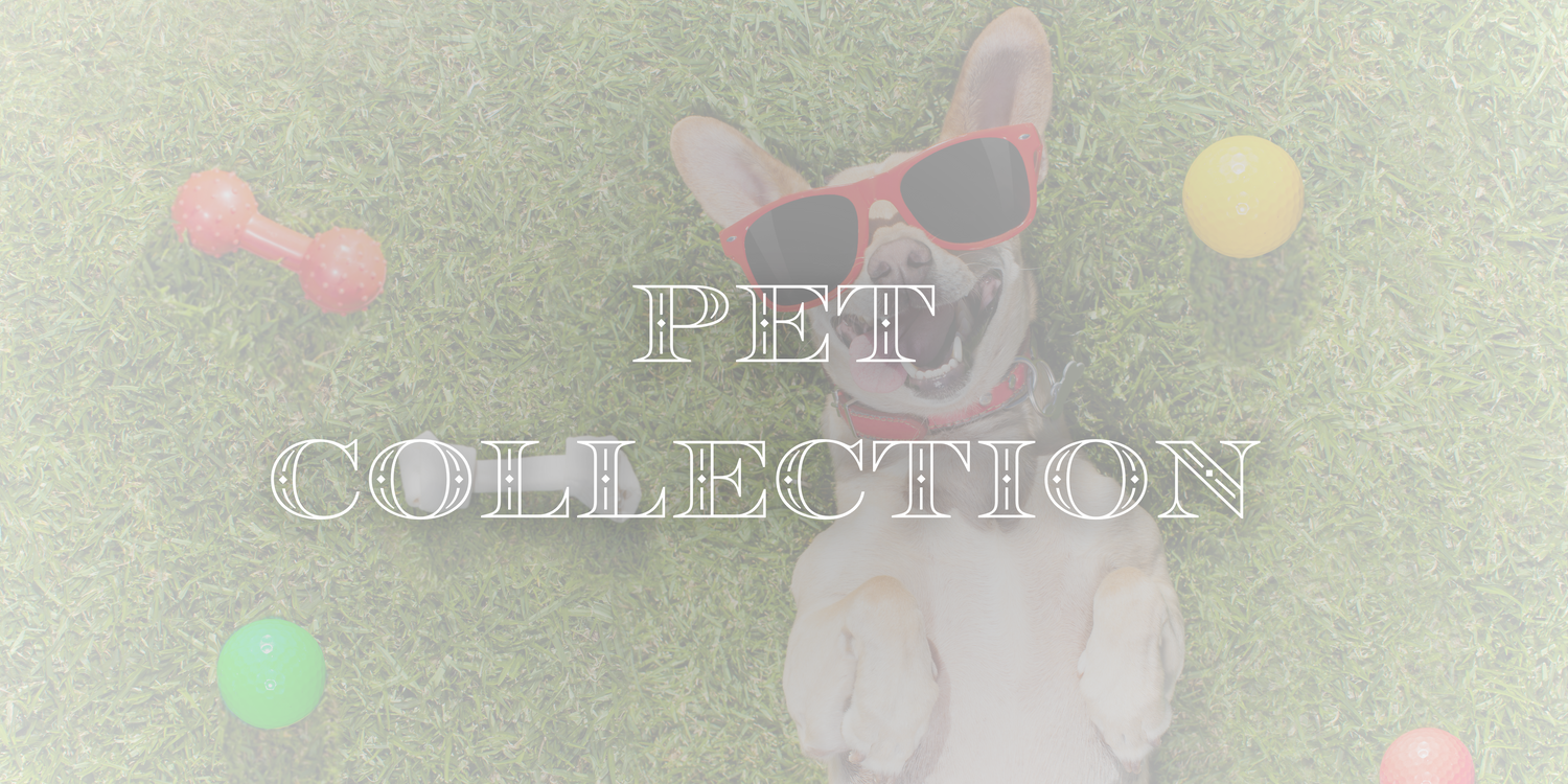 Experience Our Playful Pet Collection Coming Soon!